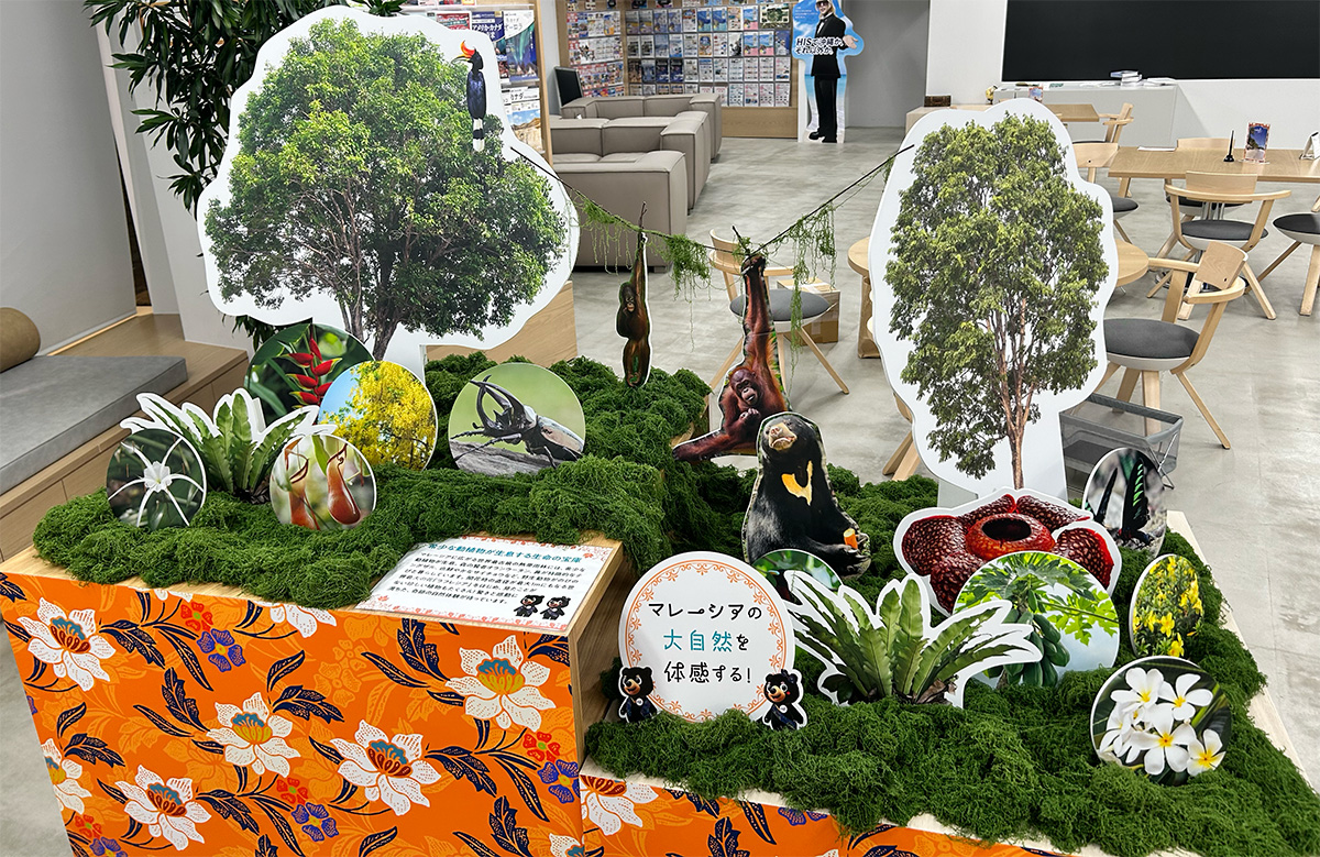 HIS 様　店舗装飾